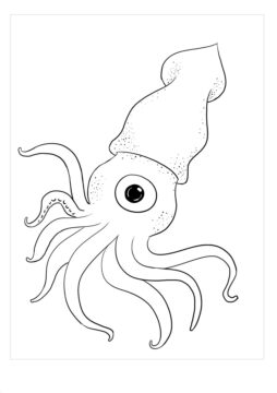Dibujo de Calamar un Ojo para Colorear