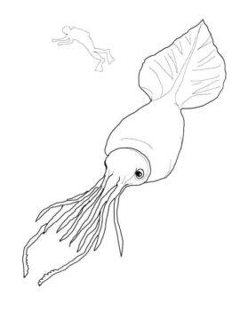 Dibujo de Calamar y Gente para Colorear