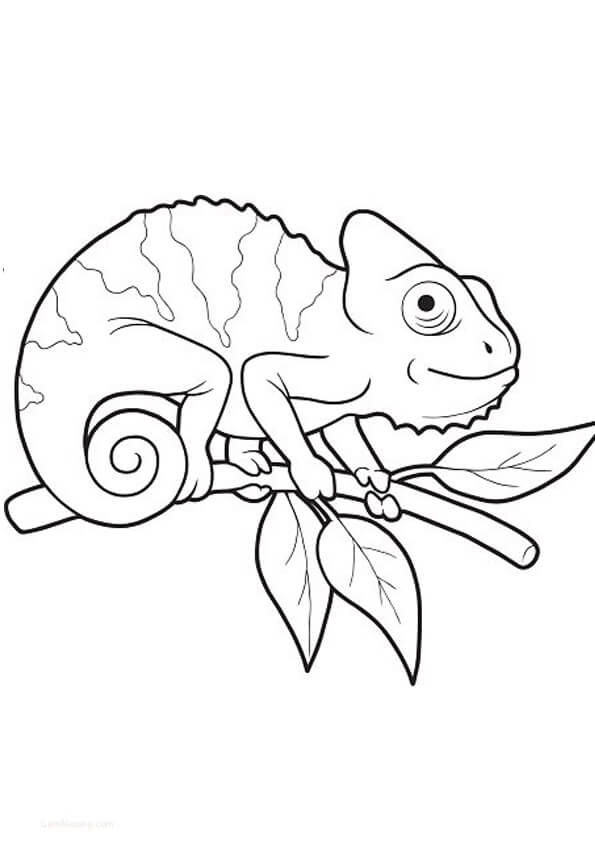 Dibujo de Adorable Camalen para Colorear
