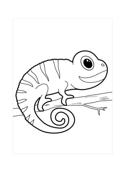 Dibujo de Camalen Beb en Rama de Rbol para Colorear