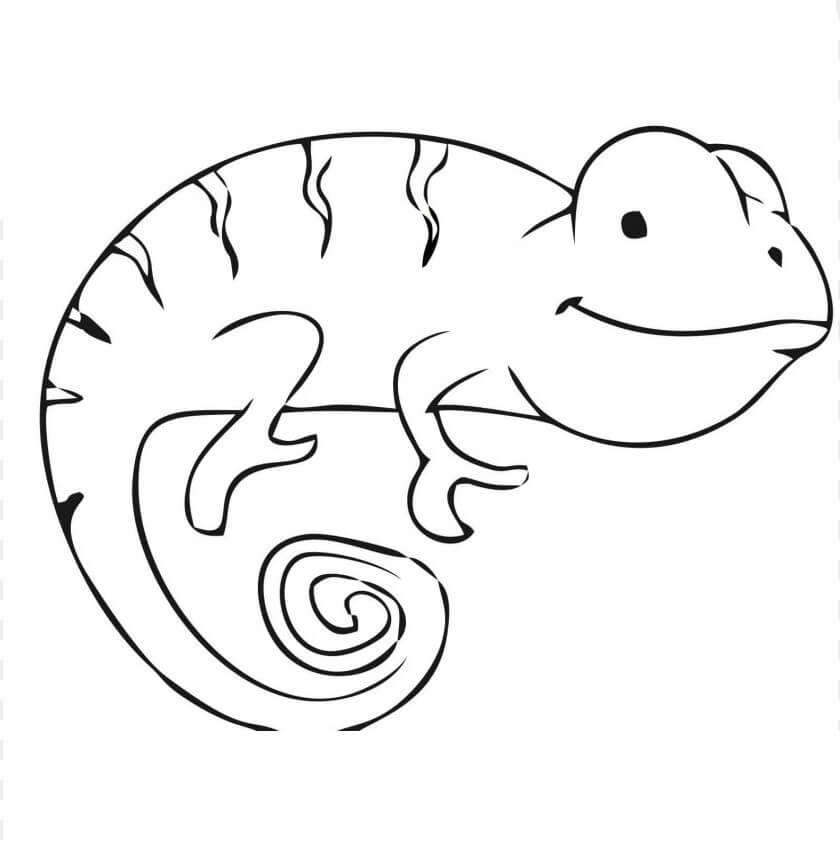 Dibujo de Camalen Estpido para Colorear