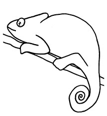 Dibujo de Camalen Fcil para Colorear