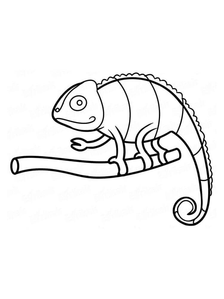 Dibujo de Camalen Impresionante para Colorear