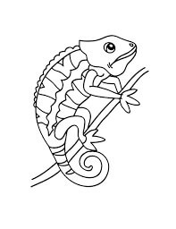 Dibujo de Camalen Imprimible para Colorear