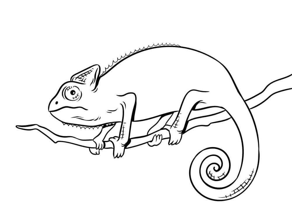 Dibujo de Camalen Normal para Colorear