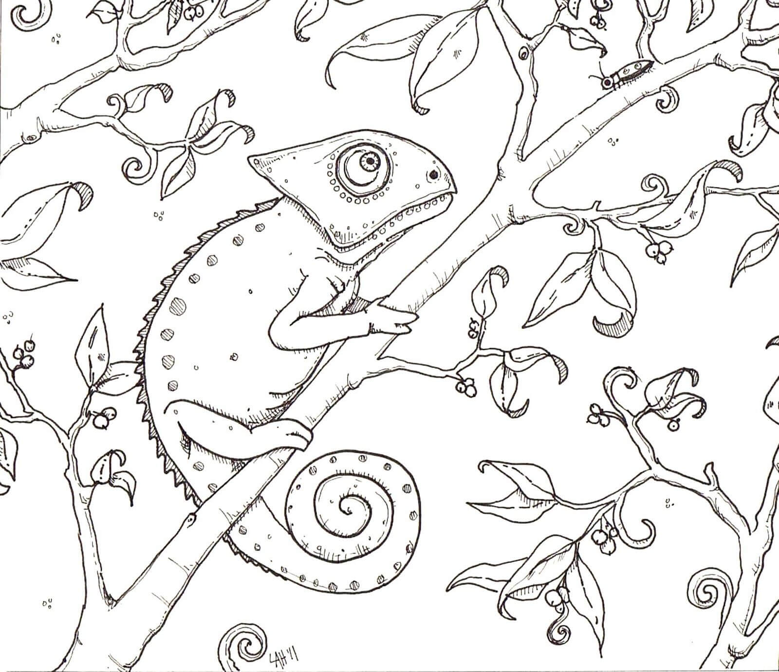 Dibujo de Camalen en Rama de Rbol para Colorear