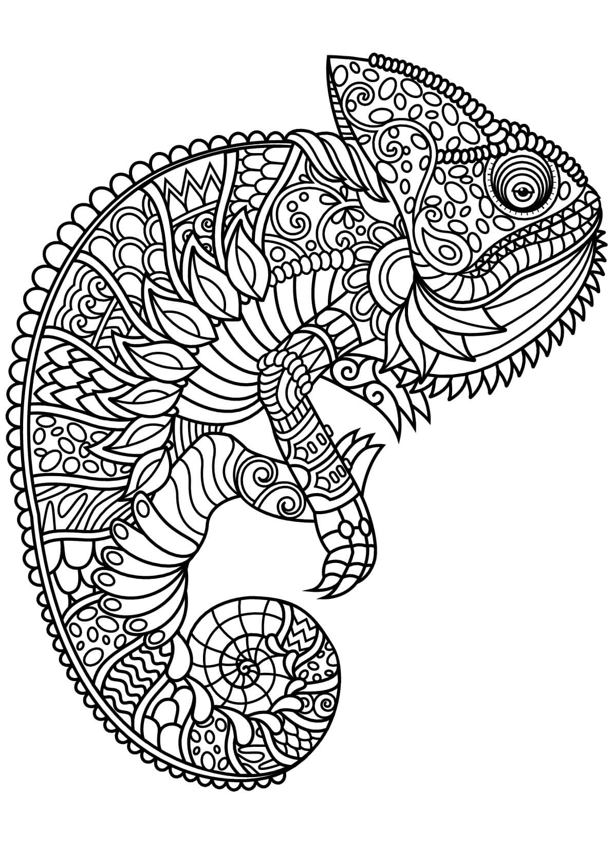 Dibujo de El Camalen Es para Adultos para Colorear