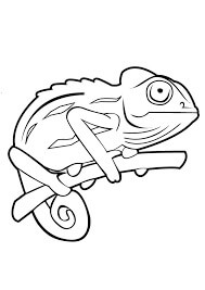 Dibujo de Gran Camalen para Colorear