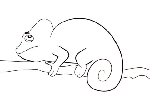 Dibujo de Lindo Camalen en Rama Rbol para Colorear
