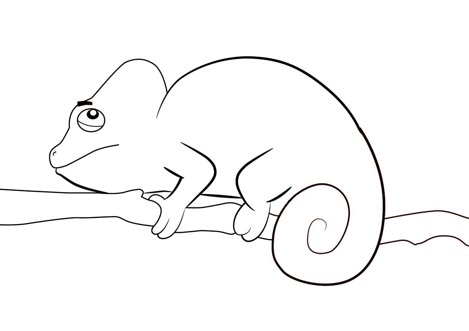 Dibujo de Lindo Camalen en Rama Rbol para Colorear