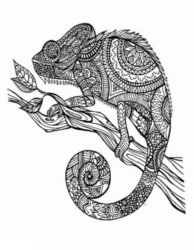 Dibujo de Mandala de Camalen para Colorear