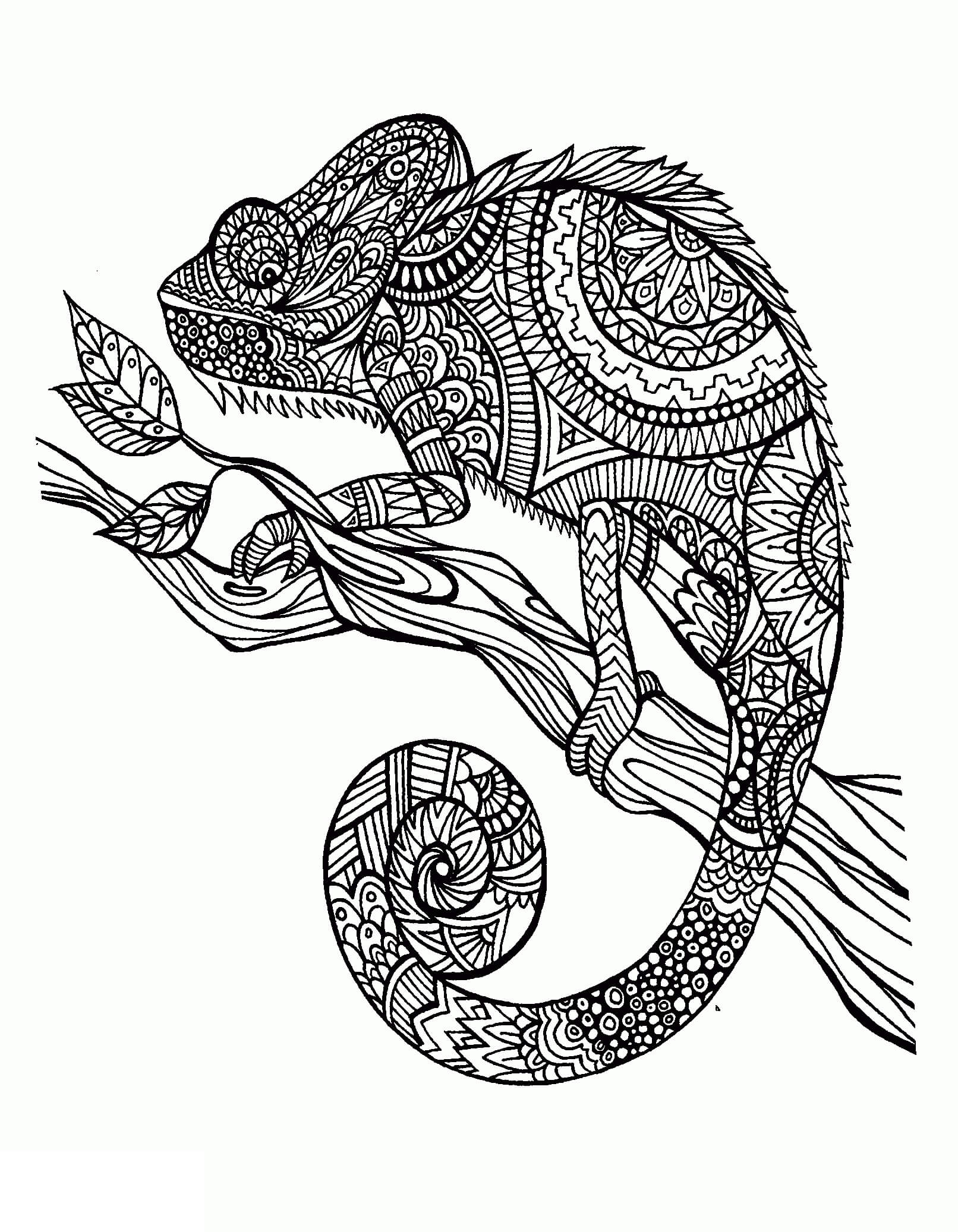Dibujo de Mandala de Camalen para Colorear