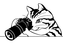 Dibujo de Cmara de Retencin de Gato para Colorear