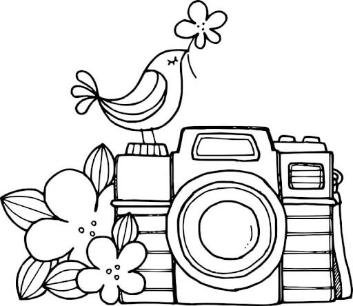 Dibujo de Flor y Cmara de Pie de Pjaro para Colorear