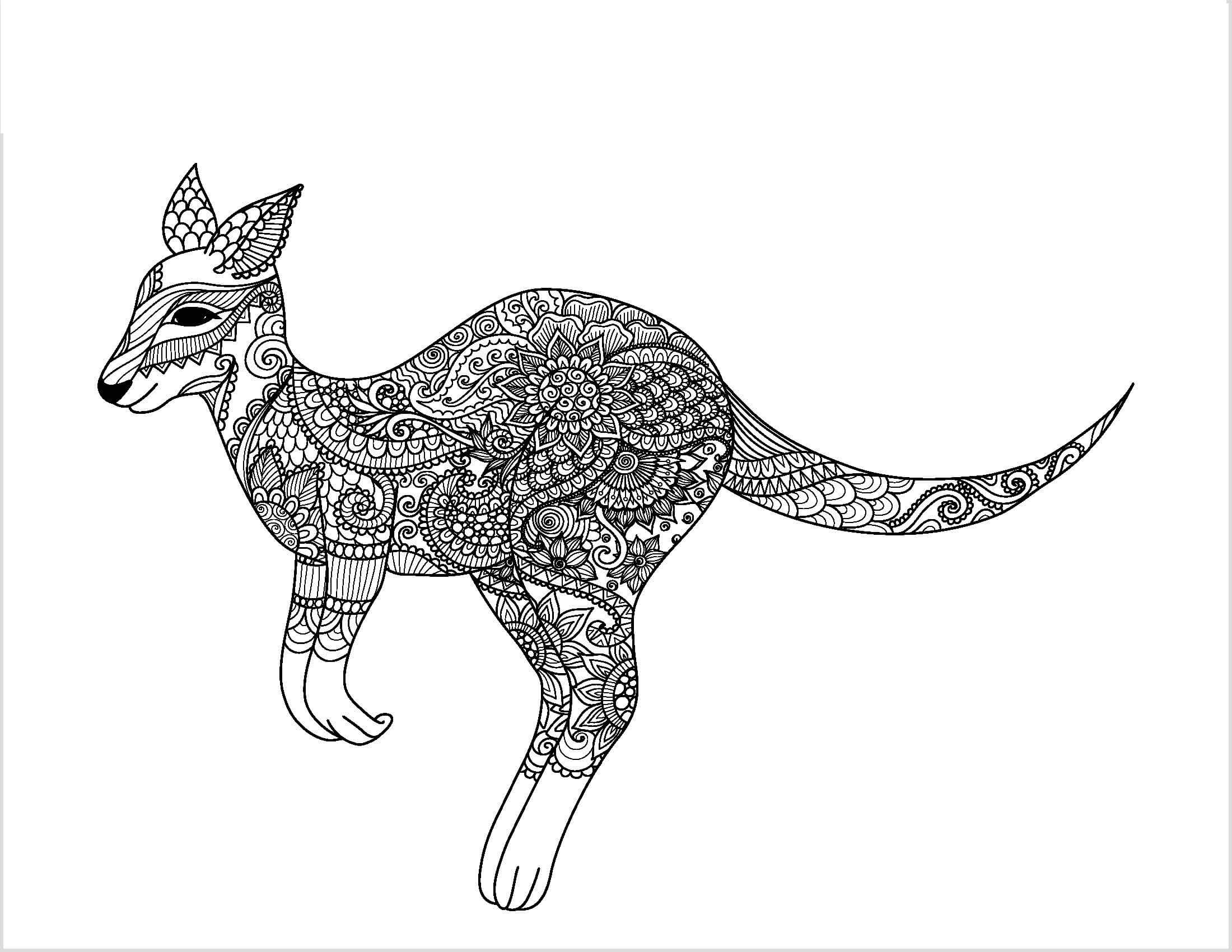 Dibujo de Canguro Adulto para Colorear