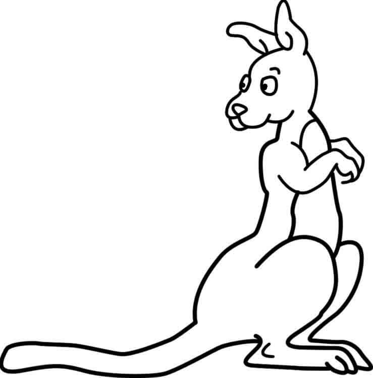 Dibujo de Canguro Normal para Colorear
