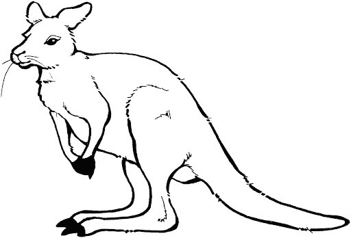 Dibujo de Canguro Simple para Colorear