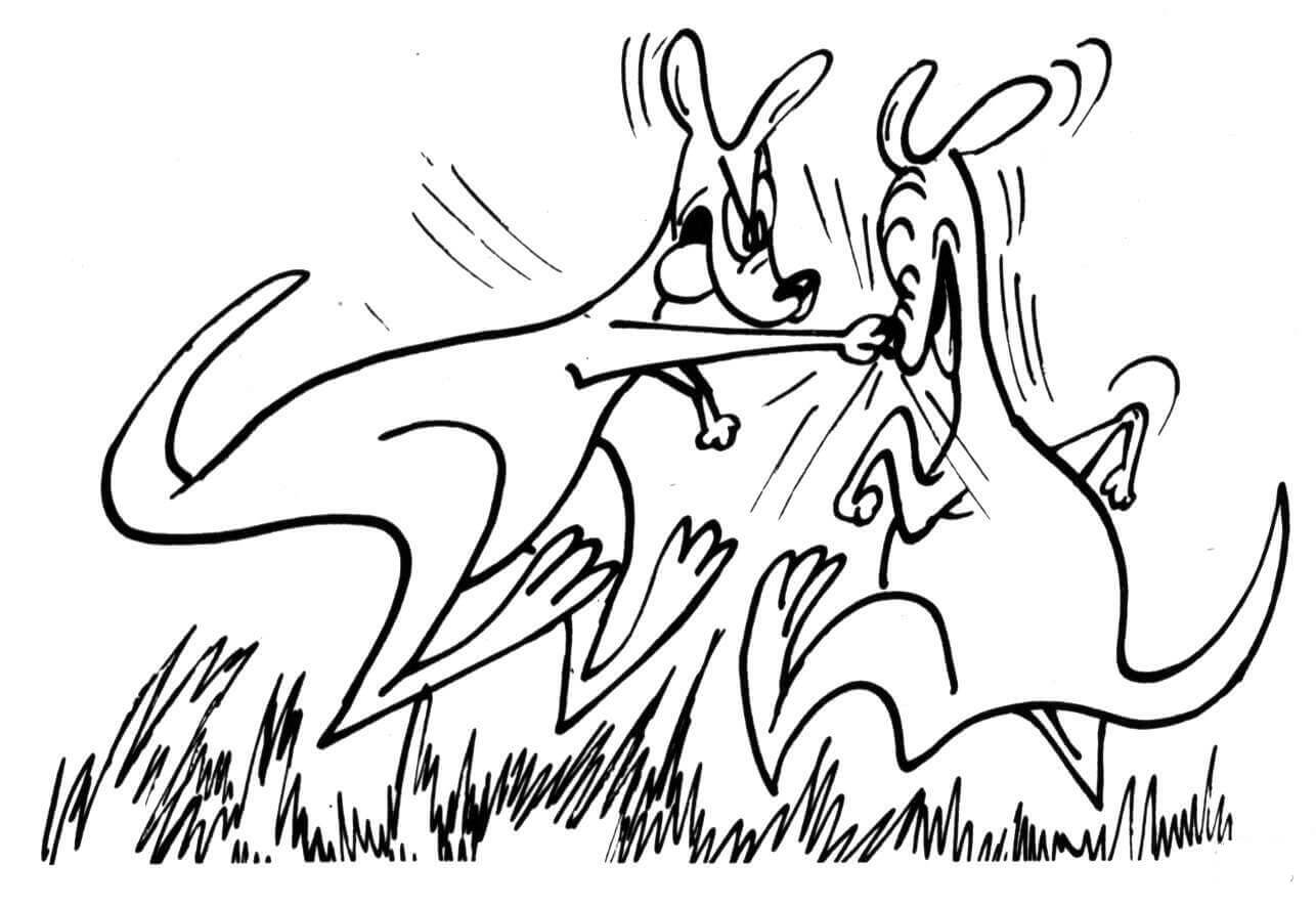 Dibujo de Dos Canguros Peleando para Colorear