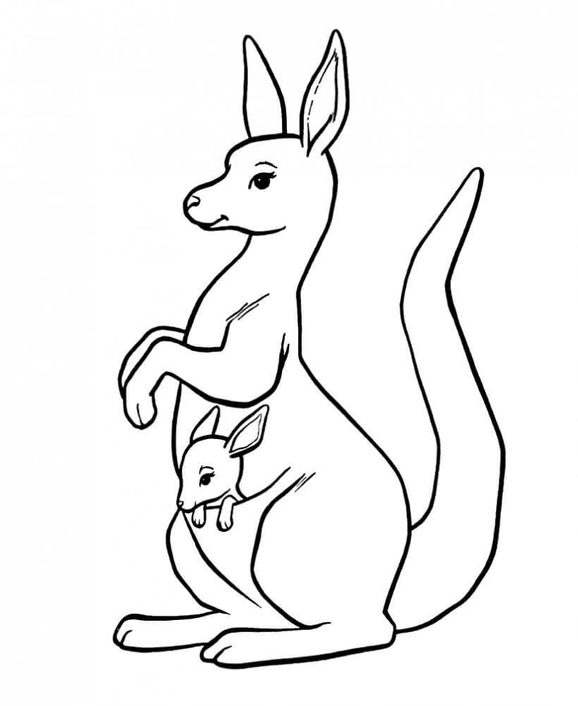 Dibujo de Gran Madre y Canguro Beb para Colorear