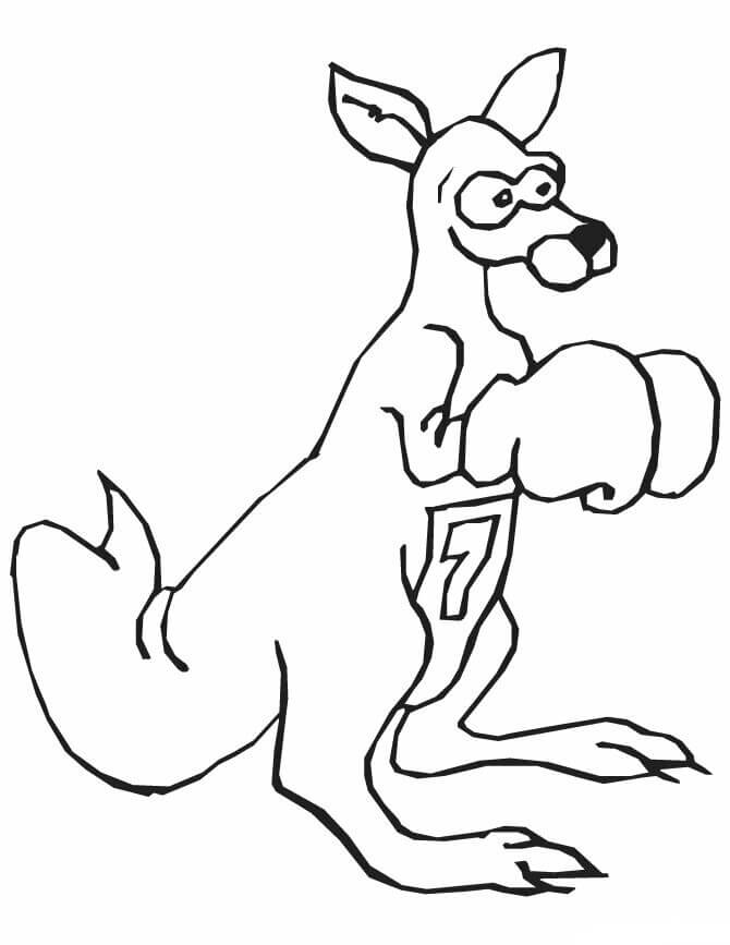 Dibujo de Jugador de Boxeo Canguro para Colorear