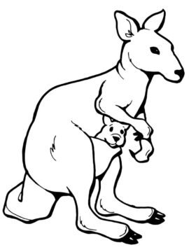 Dibujo de Madre Perfecta y Canguro Beb para Colorear