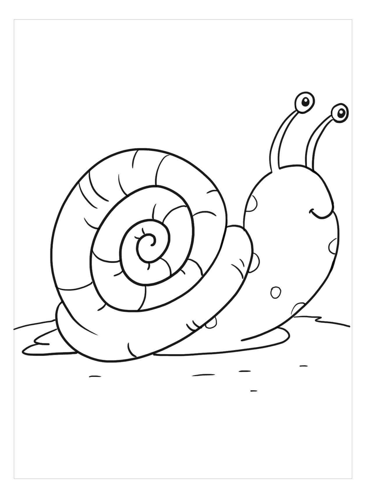 Dibujo de Buen Caracol para Colorear