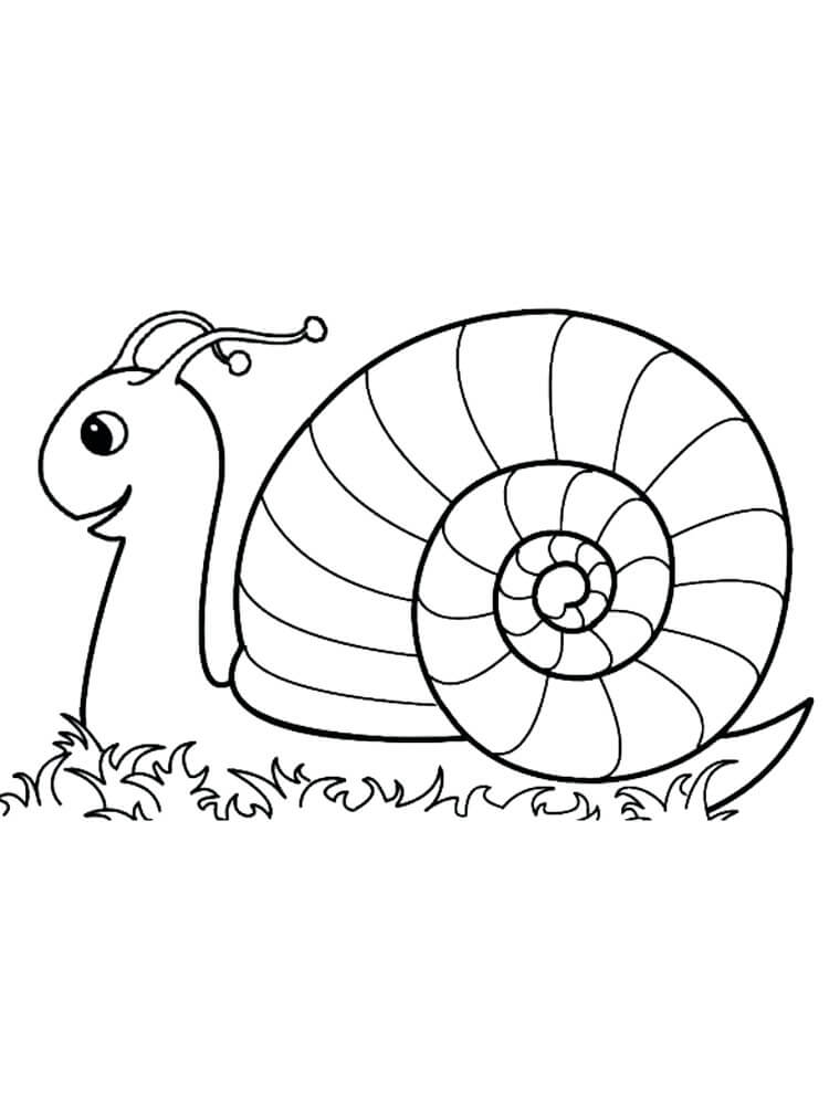 Dibujo de Caracol Agradable para Colorear