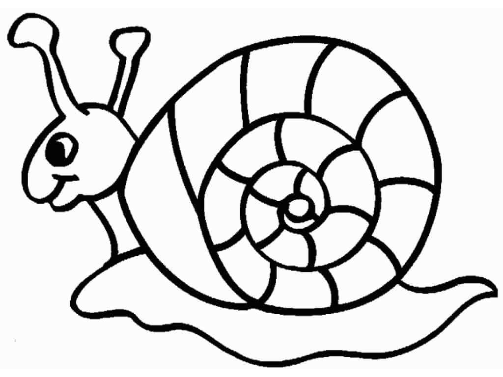 Dibujo de Caracol básico para Colorear