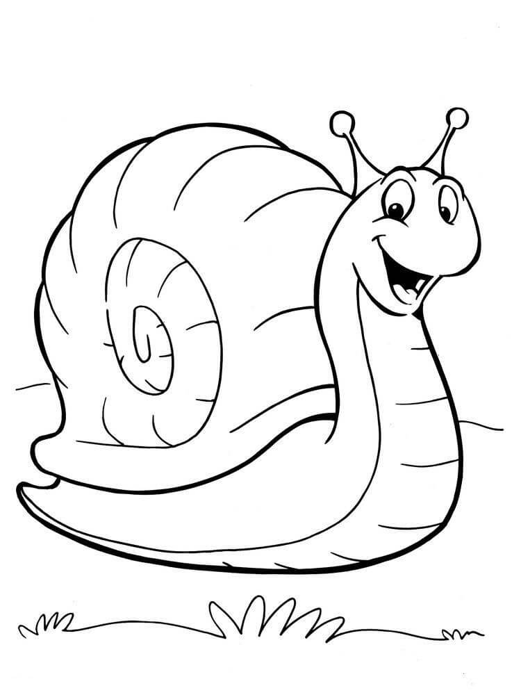 Dibujo de Caracol Bob para Colorear