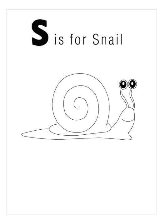 Dibujo de Caracol Bonito para Colorear