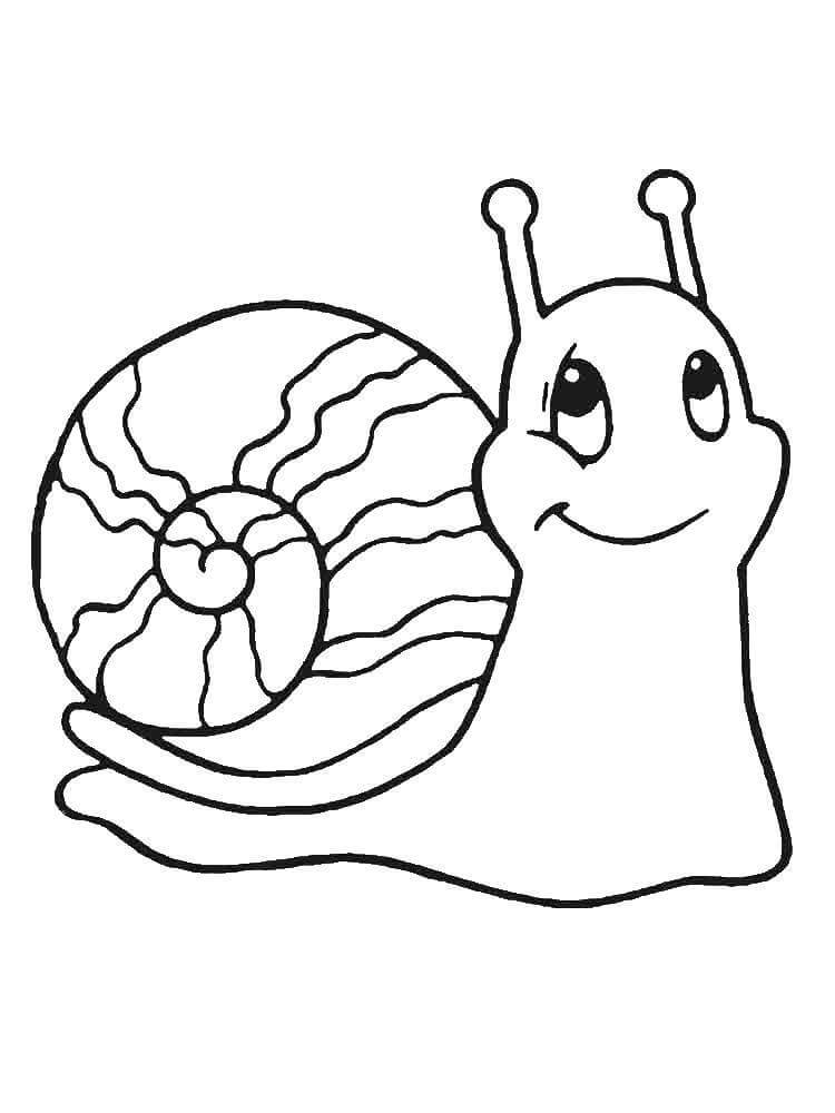 Dibujo de Caracol de Dibujos Animados para Colorear
