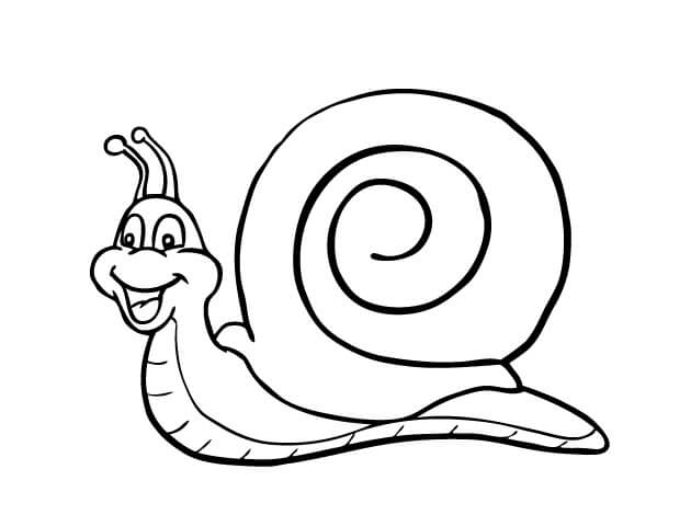Dibujo de Caracol Divertido para Colorear