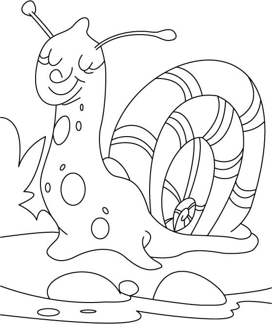 Dibujo de Caracol Dormido para Colorear