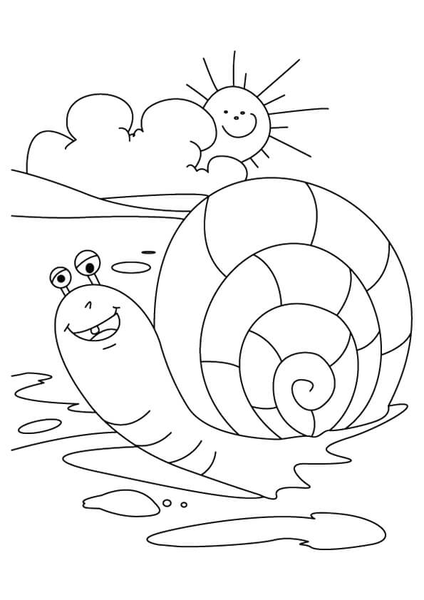 Dibujo de Caracol en la Playa para Colorear