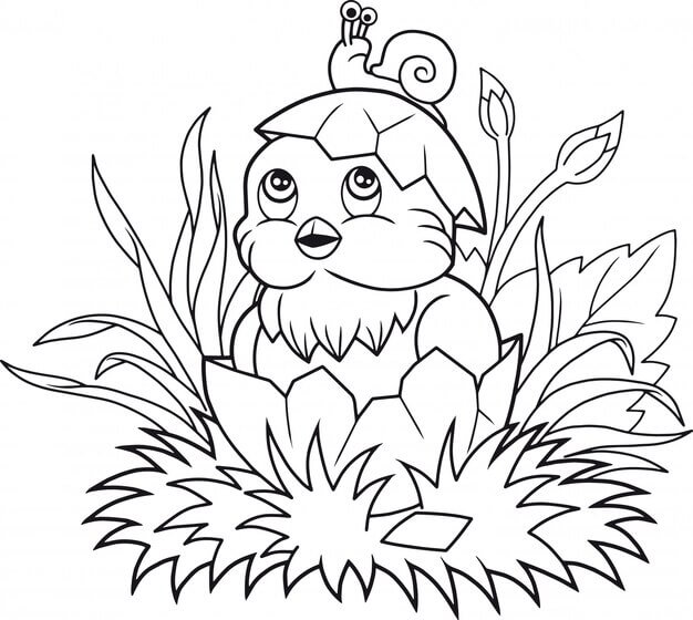 Dibujo de Caracol en pájaro para Colorear
