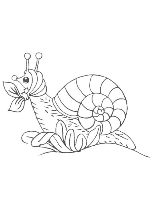Dibujo de Caracol Imprimible para Colorear