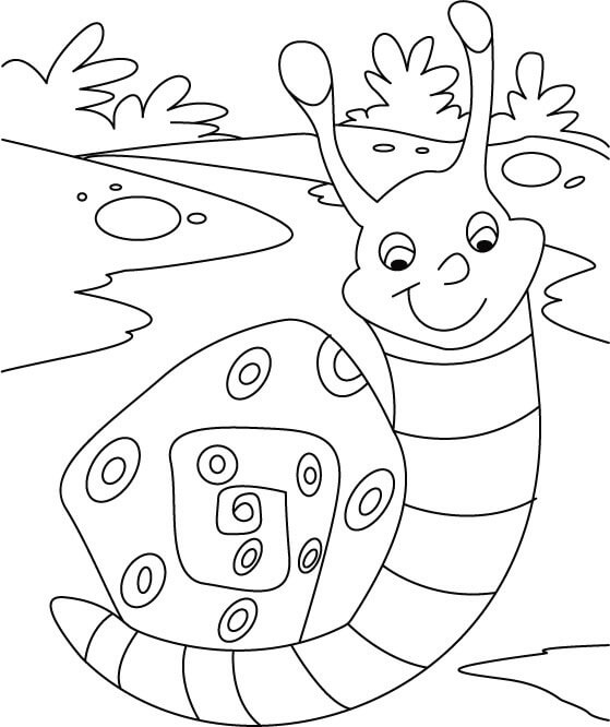 Dibujo de Caracol Kawaii para Colorear