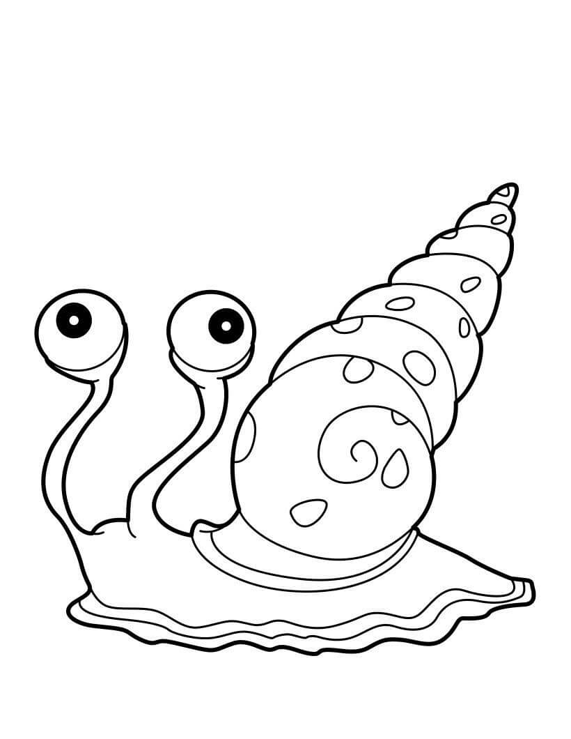 Dibujo de Caracol Marino para Colorear