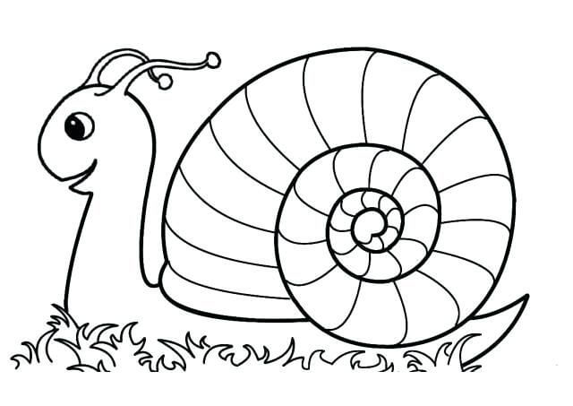 Dibujo de Caracol Normal para Colorear