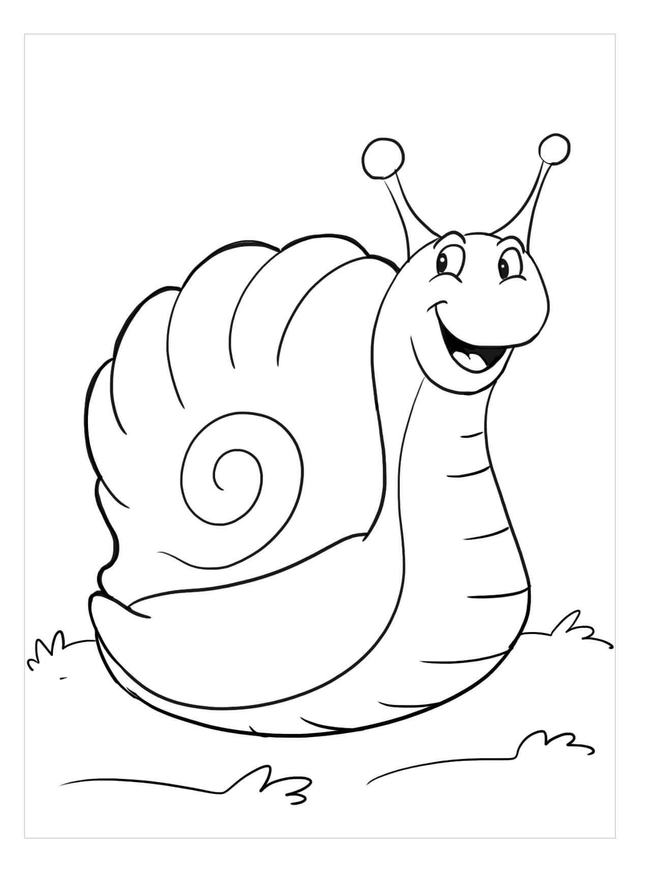 Dibujo de Caracol Perfecto para Colorear