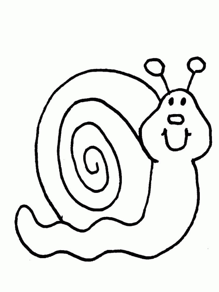 Dibujo de Caracol Sencillo para Colorear