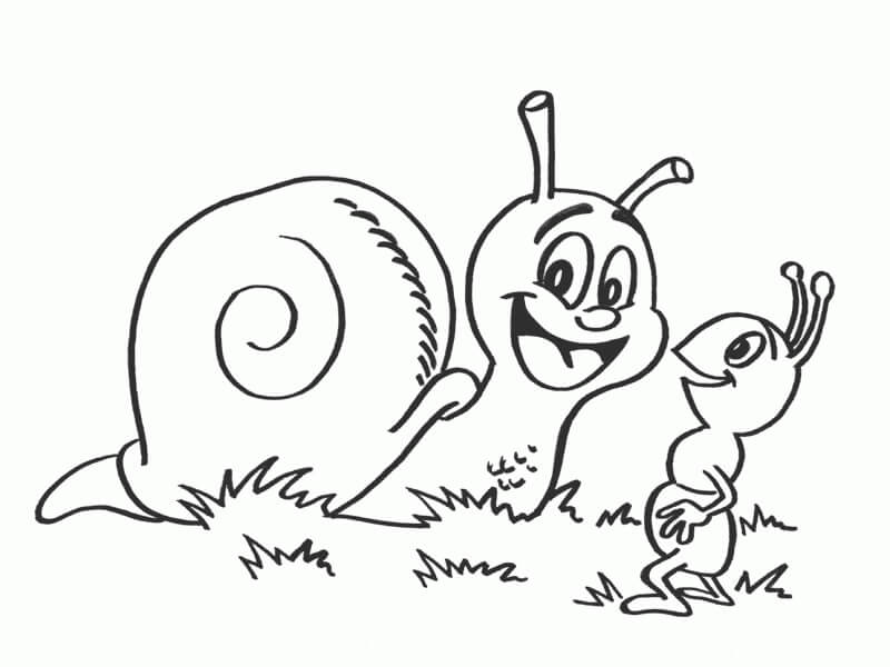 Dibujo de Caracol y Hormiga para Colorear