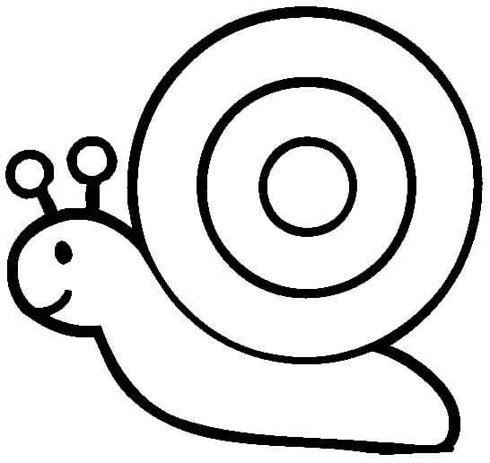 Dibujo de Caracol para Colorear