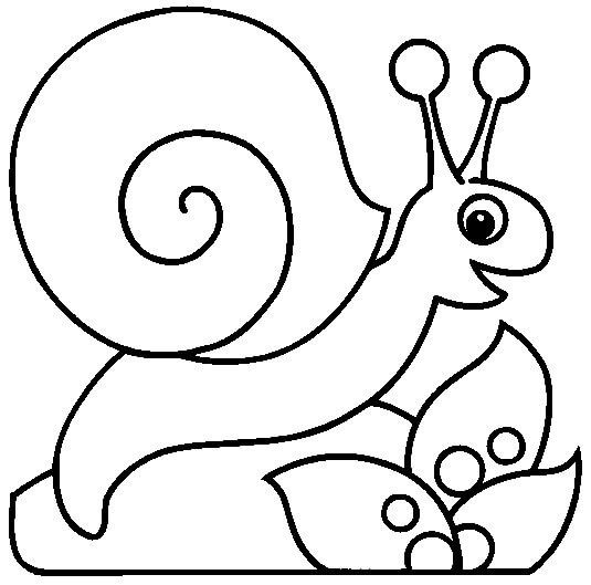 Dibujo de Caracol en una Hoja para Colorear