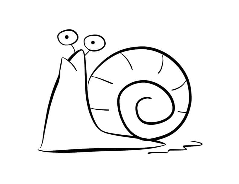 Dibujo de Gran Caracol para Colorear