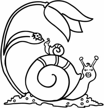 Dibujo de Madre Caracol y bebé Caracol para Colorear