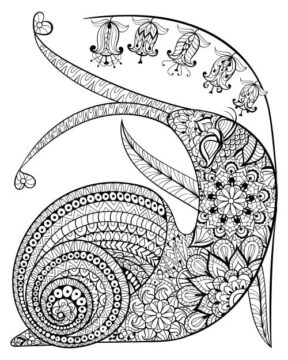 Dibujo de Mandala Caracol para Colorear