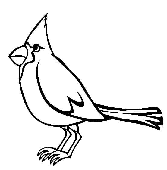 Dibujo de Cardenal Dibujo para Colorear