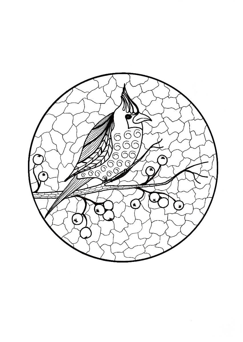 Dibujo de Cardenal en Rama Adulto para Colorear