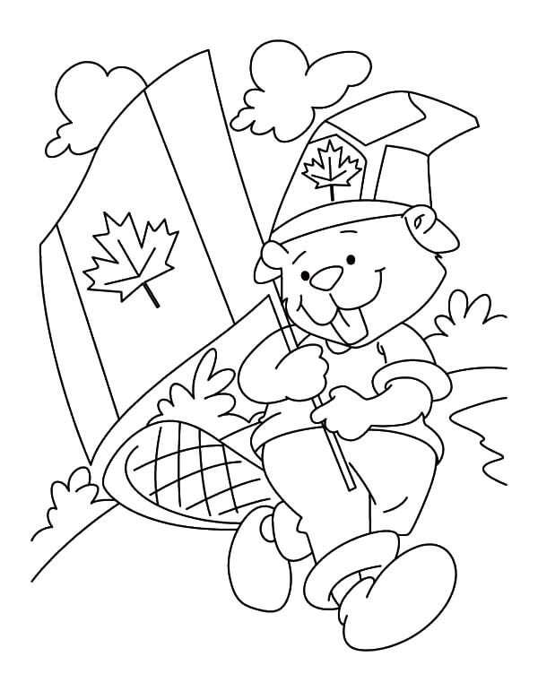 Dibujo de Beaver Boyscout en el Da de Canad para Colorear